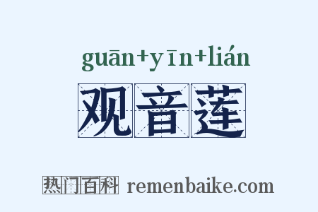 观音莲是什么意思的图片